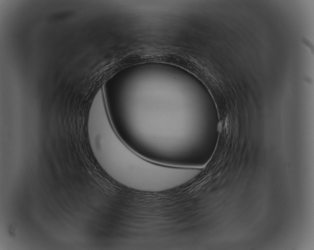 X0000092311348200709141022