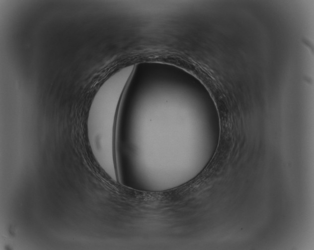 X0000092311349200709141022