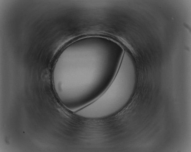 X0000092311356200709141022