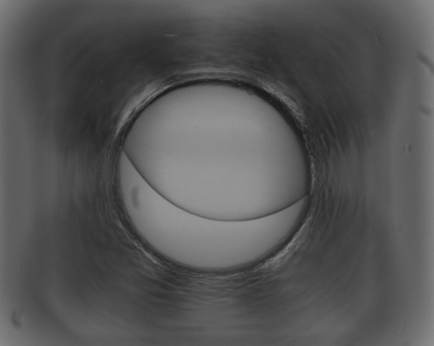 X0000092311357200709141022