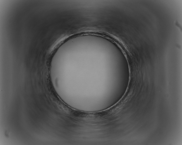 X0000092311359200709141022
