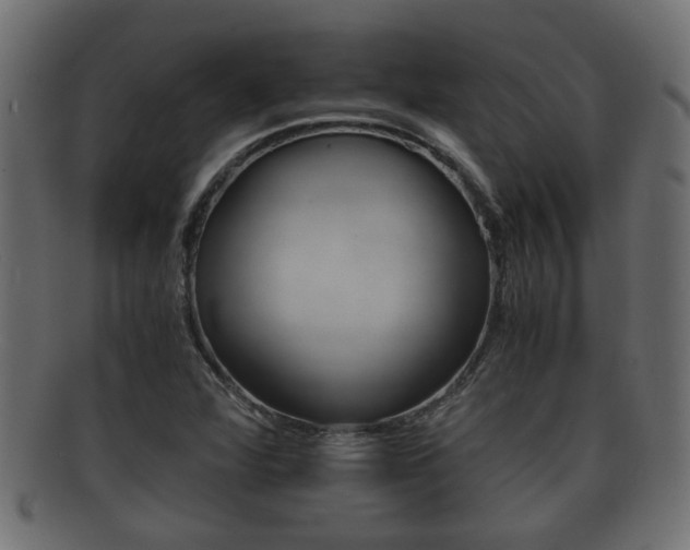 X0000092311360200709141022