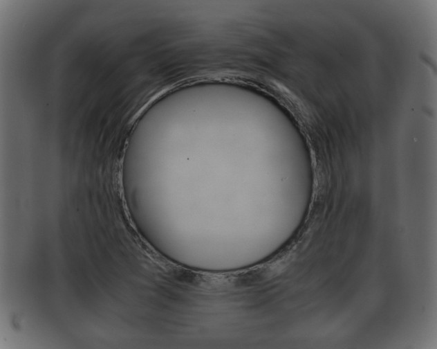 X0000092311361200709141022
