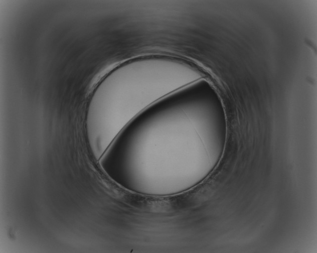 X0000092311363200709141022