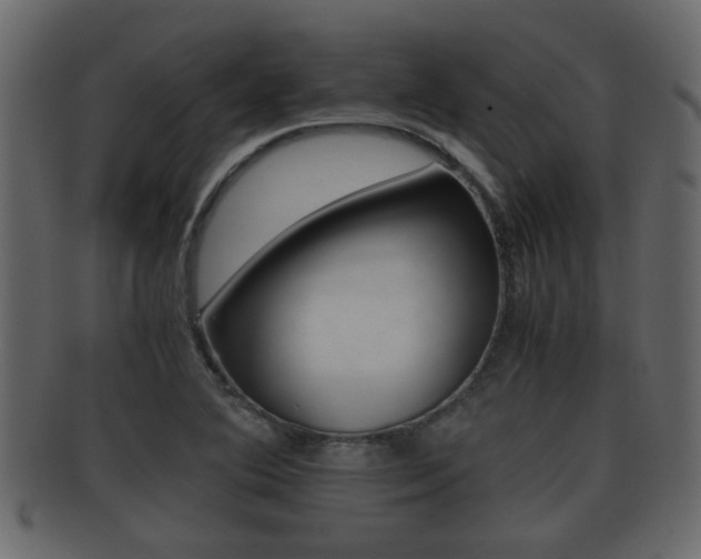 X0000092311364200709141022