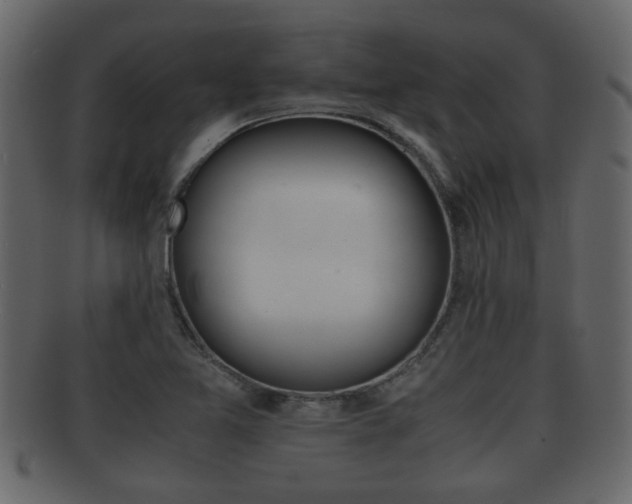 X0000092311365200709141022