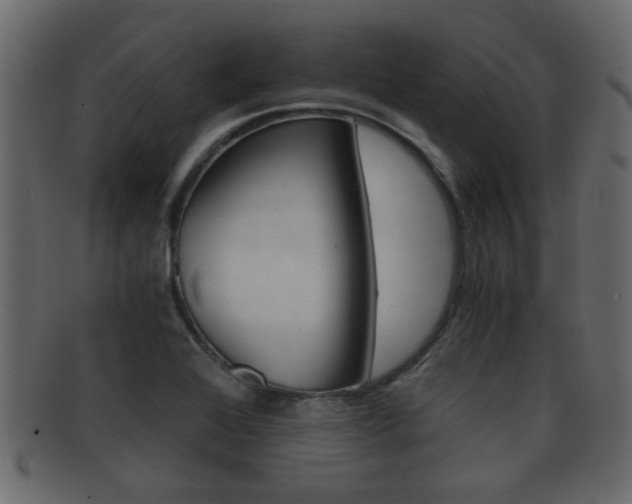 X0000092311368200709141022