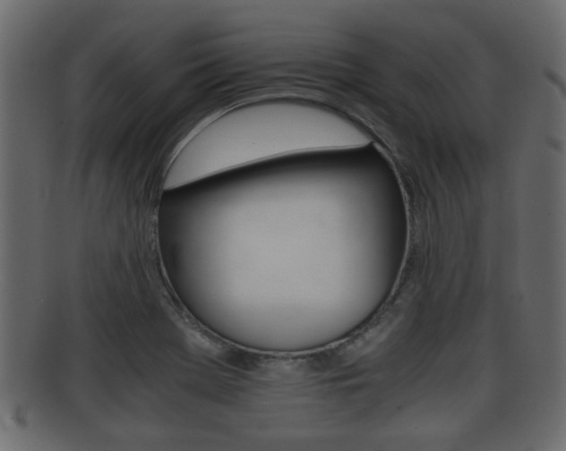 X0000092311369200709141022