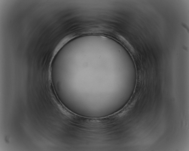 X0000092311370200709141022