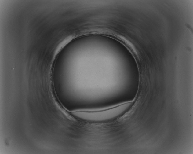 X0000092311373200709141022