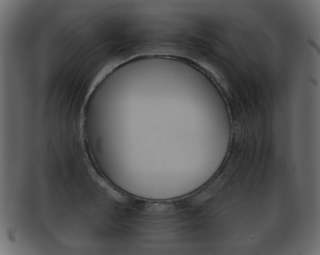 X0000092311374200709141022