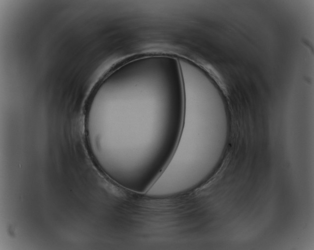 X0000092311376200709141022