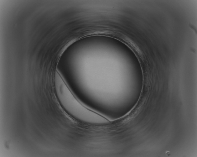 X0000092311377200709141022