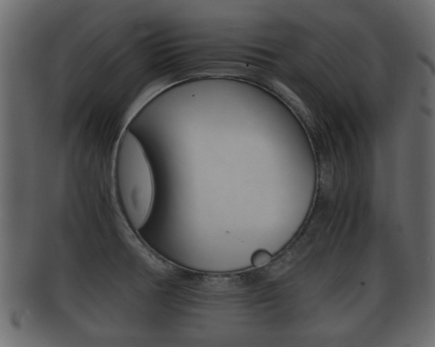 X0000092311378200709141022