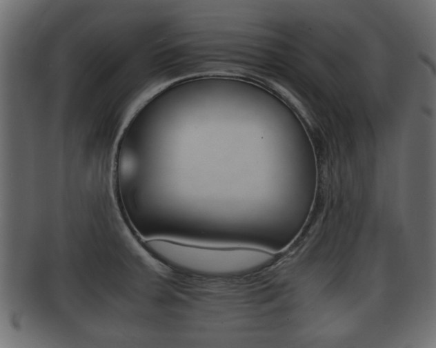 X0000092311379200709141022