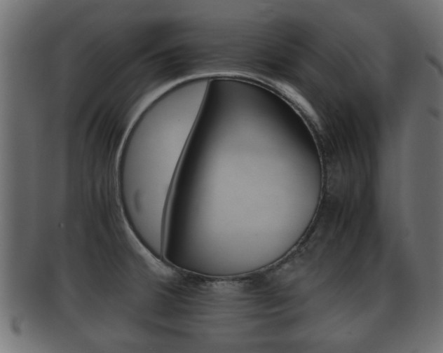 X0000092311380200709141022