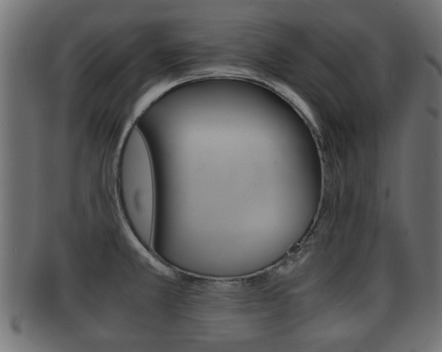X0000092311381200709141022