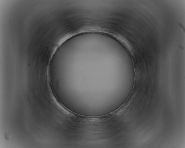 X0000092311382200709141022