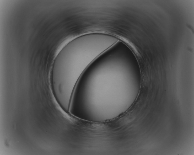 X0000092311383200709141022