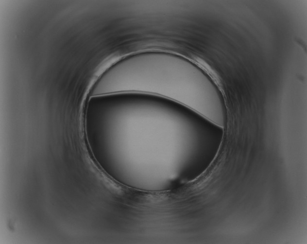 X0000092311384200709141022