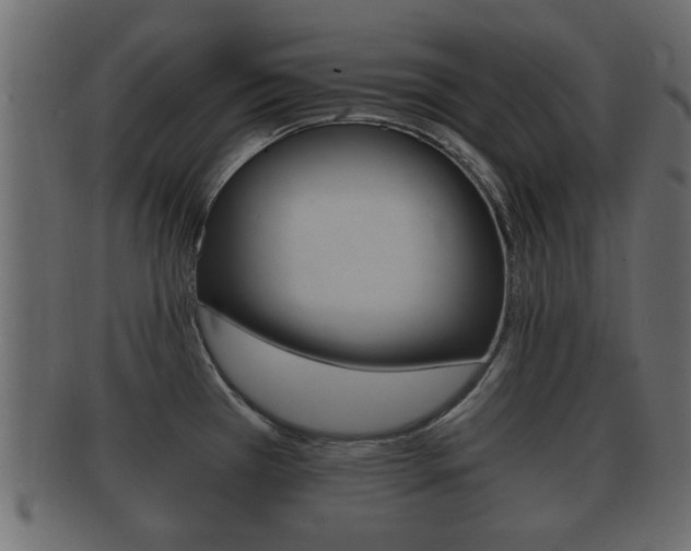 X0000092311385200709141022