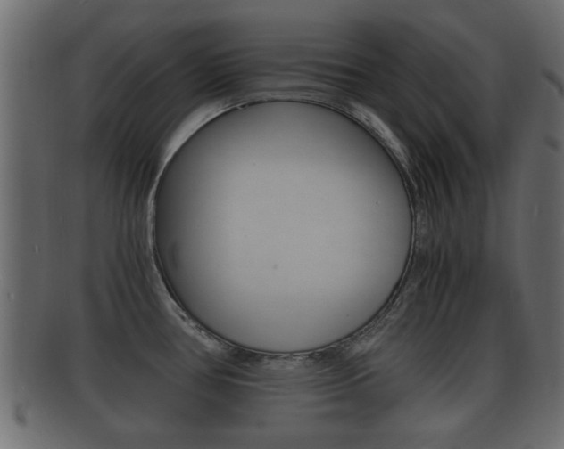X0000092311386200709141022