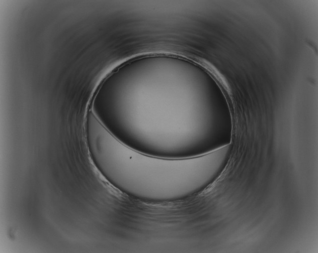 X0000092311388200709141022