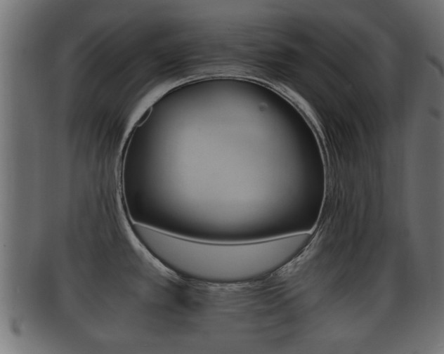 X0000092311389200709141022