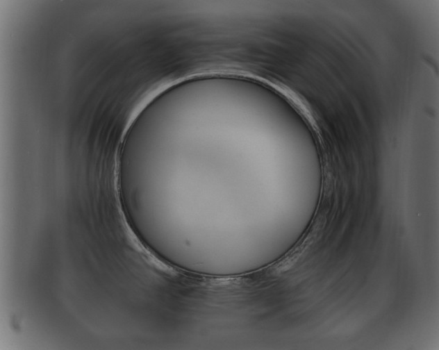 X0000092311390200709141022