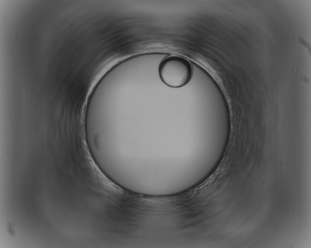 X0000092311392200709141022