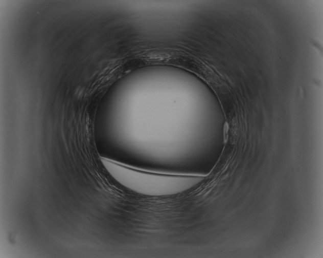 X0000092311394200709141021