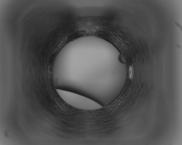 X0000092311395200709141021