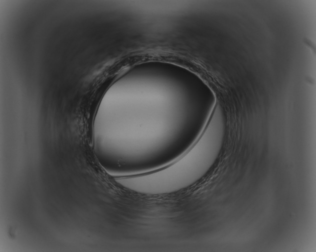 X0000092311398200709141021