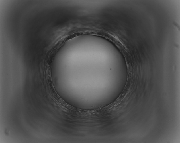 X0000092311399200709141021