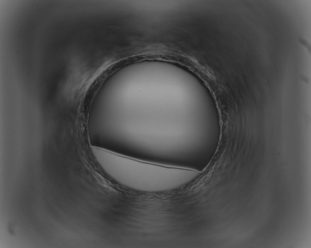 X0000092311400200709141021