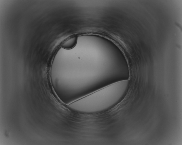 X0000092311404200709141021