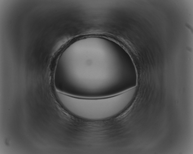 X0000092311406200709141021