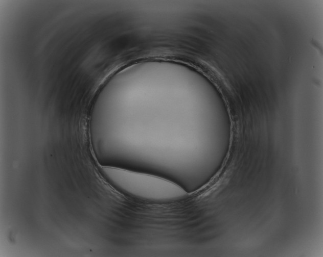 X0000092311409200709141021
