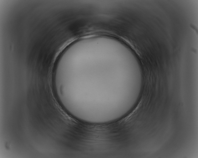 X0000092311410200709141021