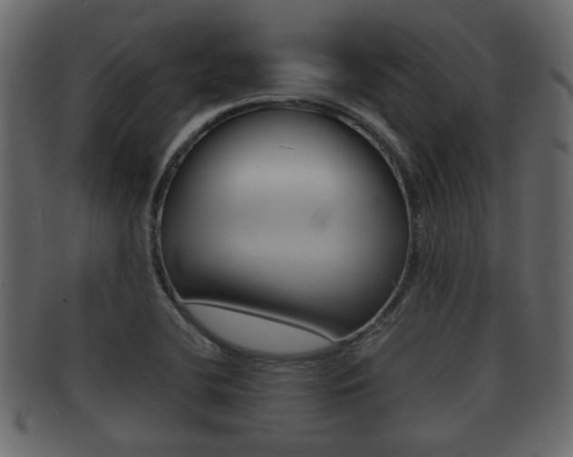 X0000092311412200709141021