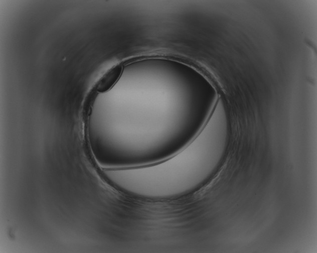 X0000092311414200709141021