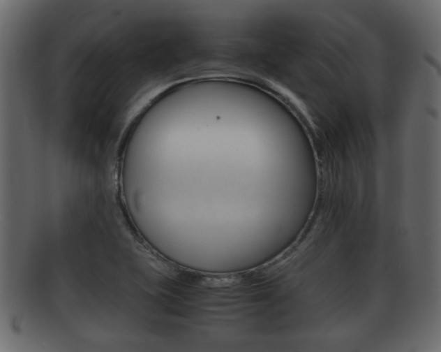 X0000092311415200709141021