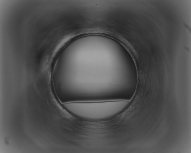 X0000092311416200709141021