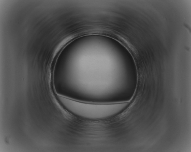 X0000092311418200709141021