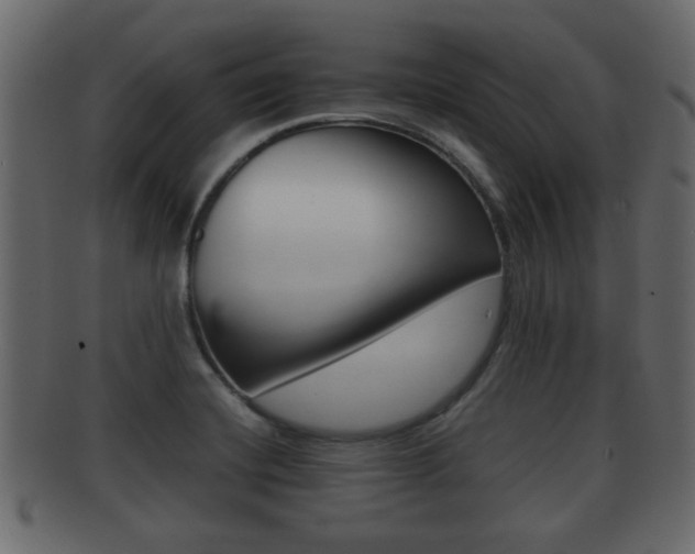 X0000092311420200709141021