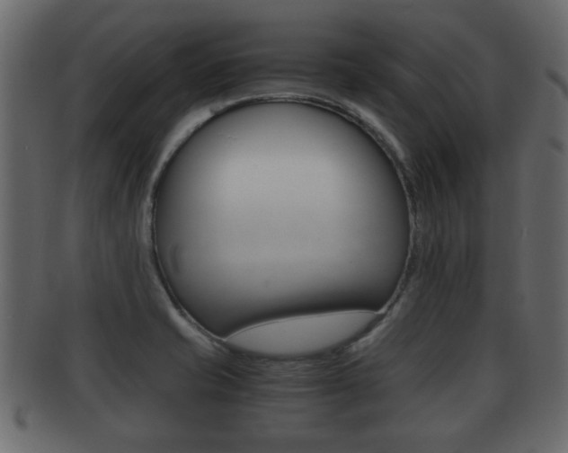 X0000092311421200709141021