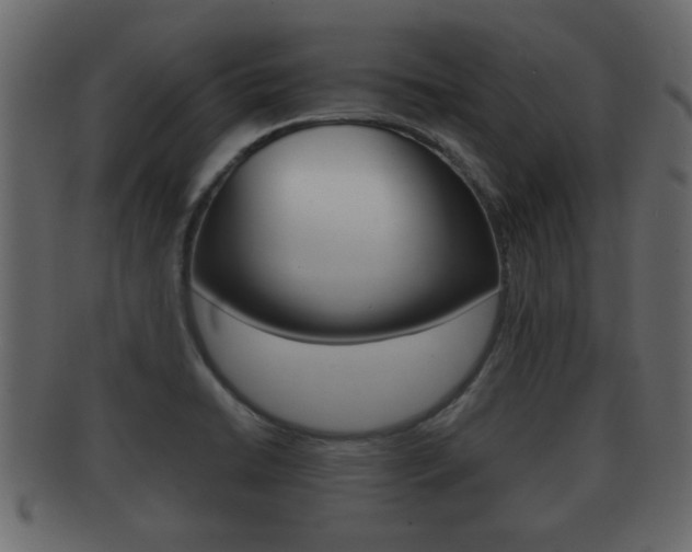 X0000092311422200709141021