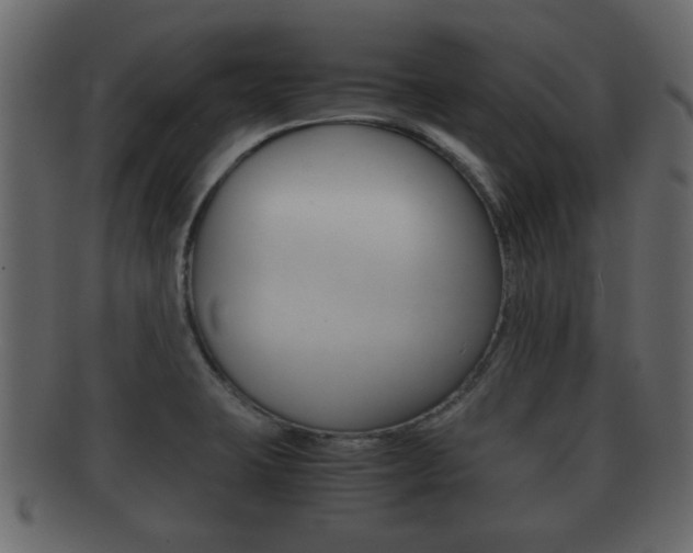 X0000092311423200709141022