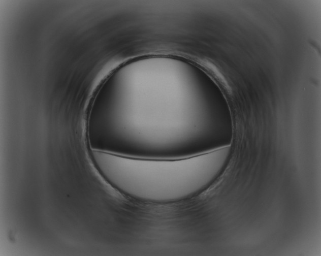 X0000092311424200709141022