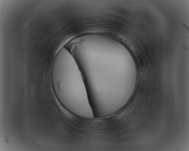 X0000092311425200709141022